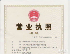 專利申請(qǐng)與商標(biāo)申請(qǐng) 保護(hù)知識(shí)產(chǎn)權(quán)的關(guān)鍵步驟